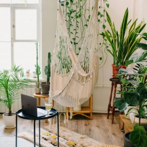 Creative design of living room with comfortable hammock near table with netbook and collection of greenery potted plants at home