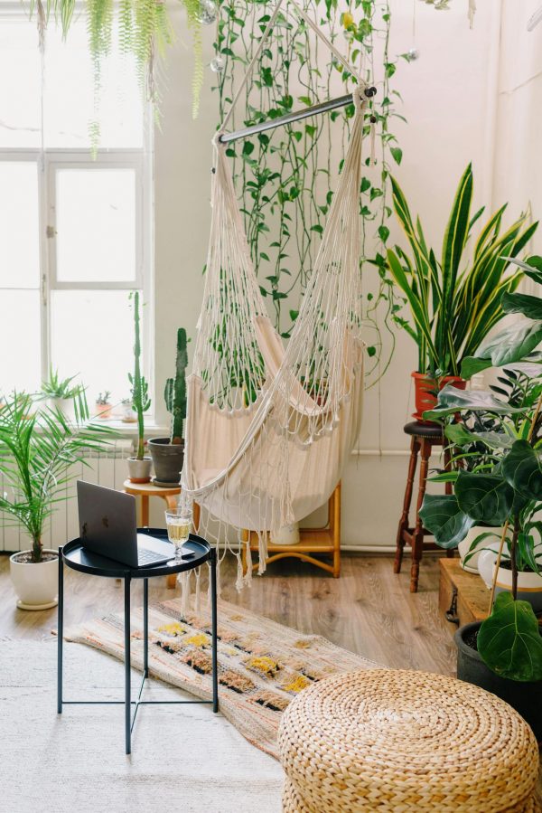 Creative design of living room with comfortable hammock near table with netbook and collection of greenery potted plants at home